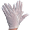 Cleanroom Nylon Gloves